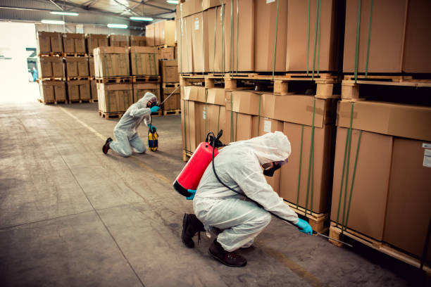 Reliable Sartell, MN Pest Control Solutions