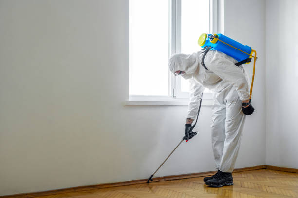 Best Local Pest Control Services  in Sartell, MN
