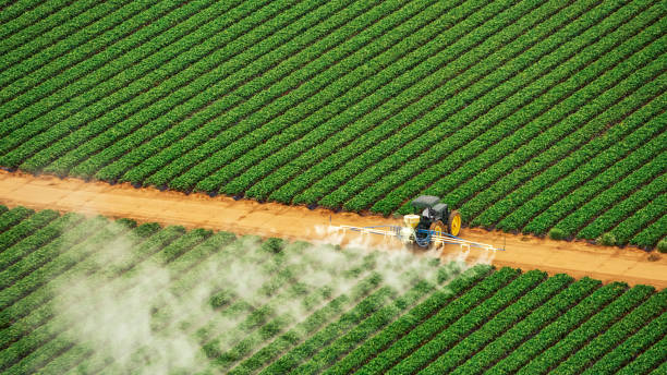Best Pest Inspection Near Me  in Sartell, MN