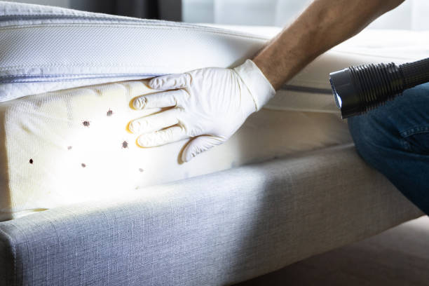 Pest Control Cost in Sartell, MN